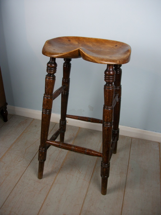 Antique Elm Artist